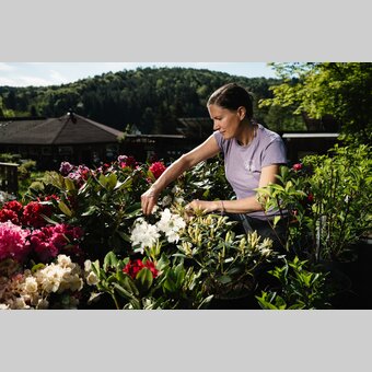 Gartenparadies Painer | © Bernd Grosseck