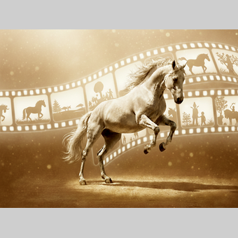 Lipizzania – Horses in Motion | © LIPIZZANIA Filmfestival