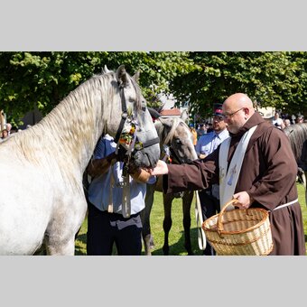Pferdesegnung beim Lipizzaner-Almabtrieb | © Region Graz | Harry Schiffer