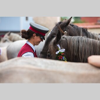 Junge Lipizzaner-Hengste mit Gestütsmitarbeiterin | © Region Graz | Sabrina Mallick