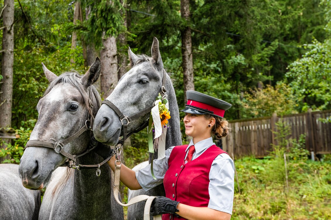 Junge Lipizzaner-Hengste mit Gestütsmitarbeiterin  | © Region Graz | Mias Photoart