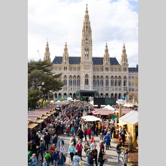 Steiermark Frühling am Wiener Rathaus  | © Region Graz | Harry Schiffer