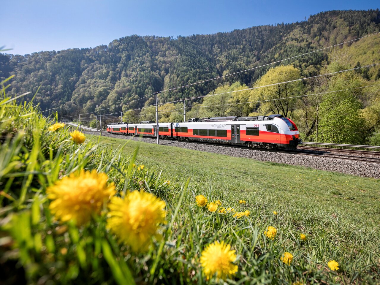 Regionalzug fährt durch Wiesen mit Löwenzahn vor bewaldeten Hügeln in der Steiermark entlang einer Bahnstrecke