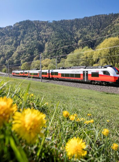 Regional train passing meadows with dandelions and forested hills in Styria along a railway line