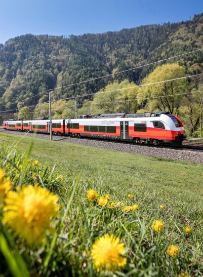 Regionalzug fährt durch Wiesen mit Löwenzahn vor bewaldeten Hügeln in der Steiermark entlang einer Bahnstrecke