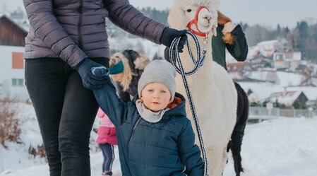 Alpakawanderung mit der Familie | © TV Südsteiermark | Lupi Spuma
