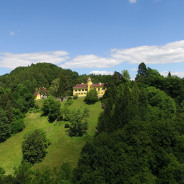 Blick auf das Schloss Arnfels