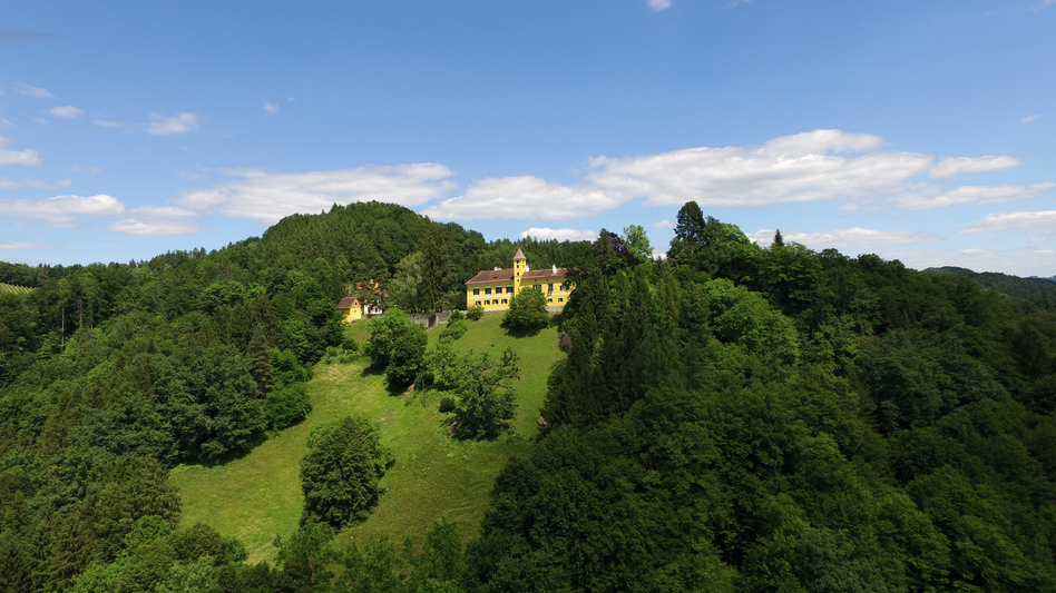Blick auf das Schloss Arnfels