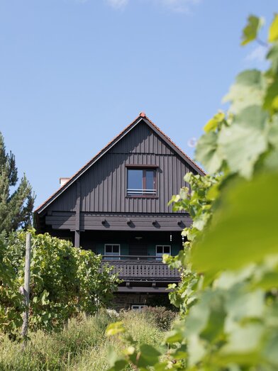 Schilcherlandleben Weingartenhaus in St. Stefan ob Stainz | © SchilcherLandLeben | Repnik Immobilien