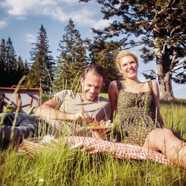 Pärchen genießt das Picknick im Grünen