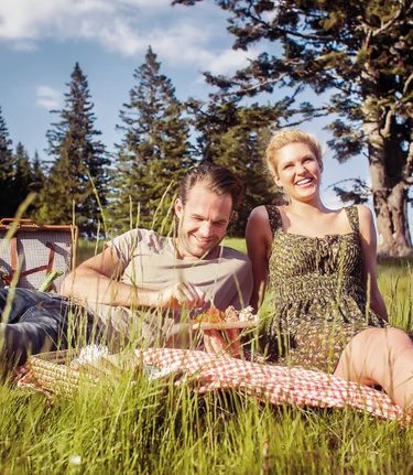 Picknick im Schilcherland | © TVB Südsteiermark | Lupi Spuma