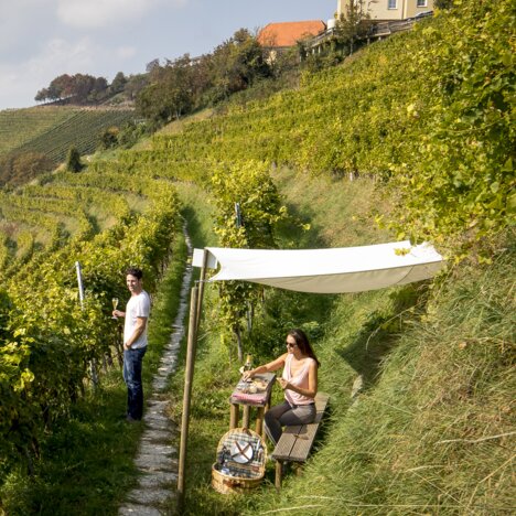 Badesee Wildon in Wildon | steiermark.com