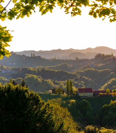 Frühlingsstimmung in der Südsteiermark | © Tourismusverband Südsteiermark | Harry Schiffer