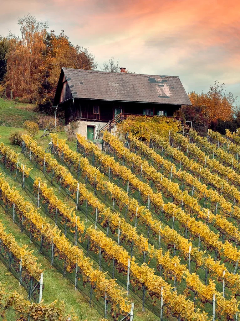 Bauernhaus im Herbst | © Schilcherland Steiermark | Lupi Spuma