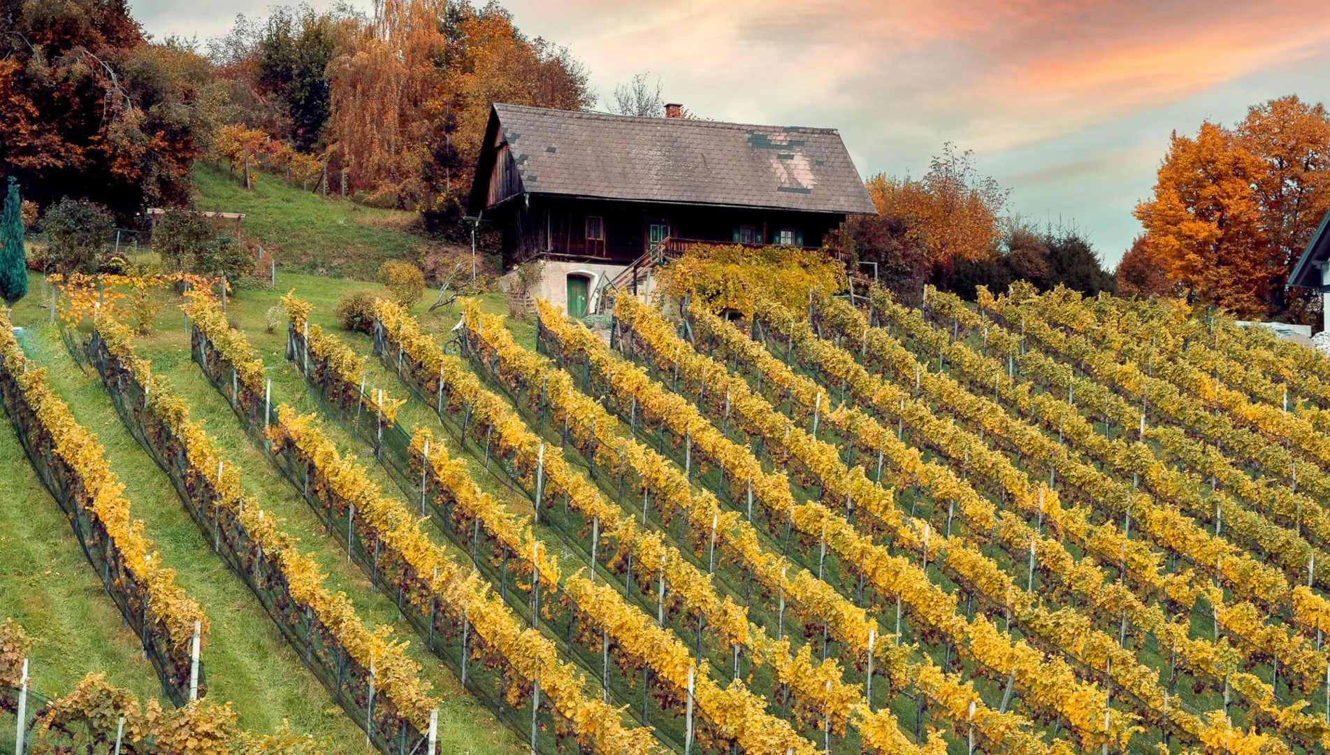 Bauernhaus im Herbst | © Schilcherland Steiermark | Lupi Spuma