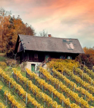 Bauernhaus im Herbst | © Schilcherland Steiermark | Lupi Spuma