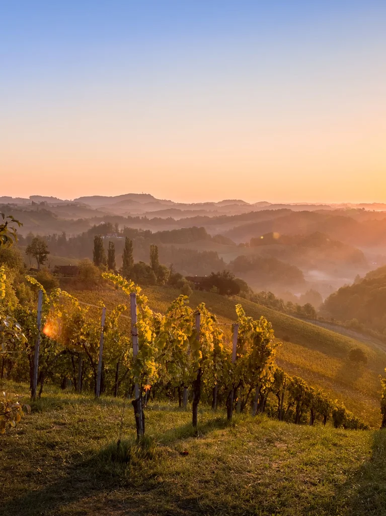 Wo der Herbst zu Hause ist | © TVB Südsteiermark |  Wolfang Jauk