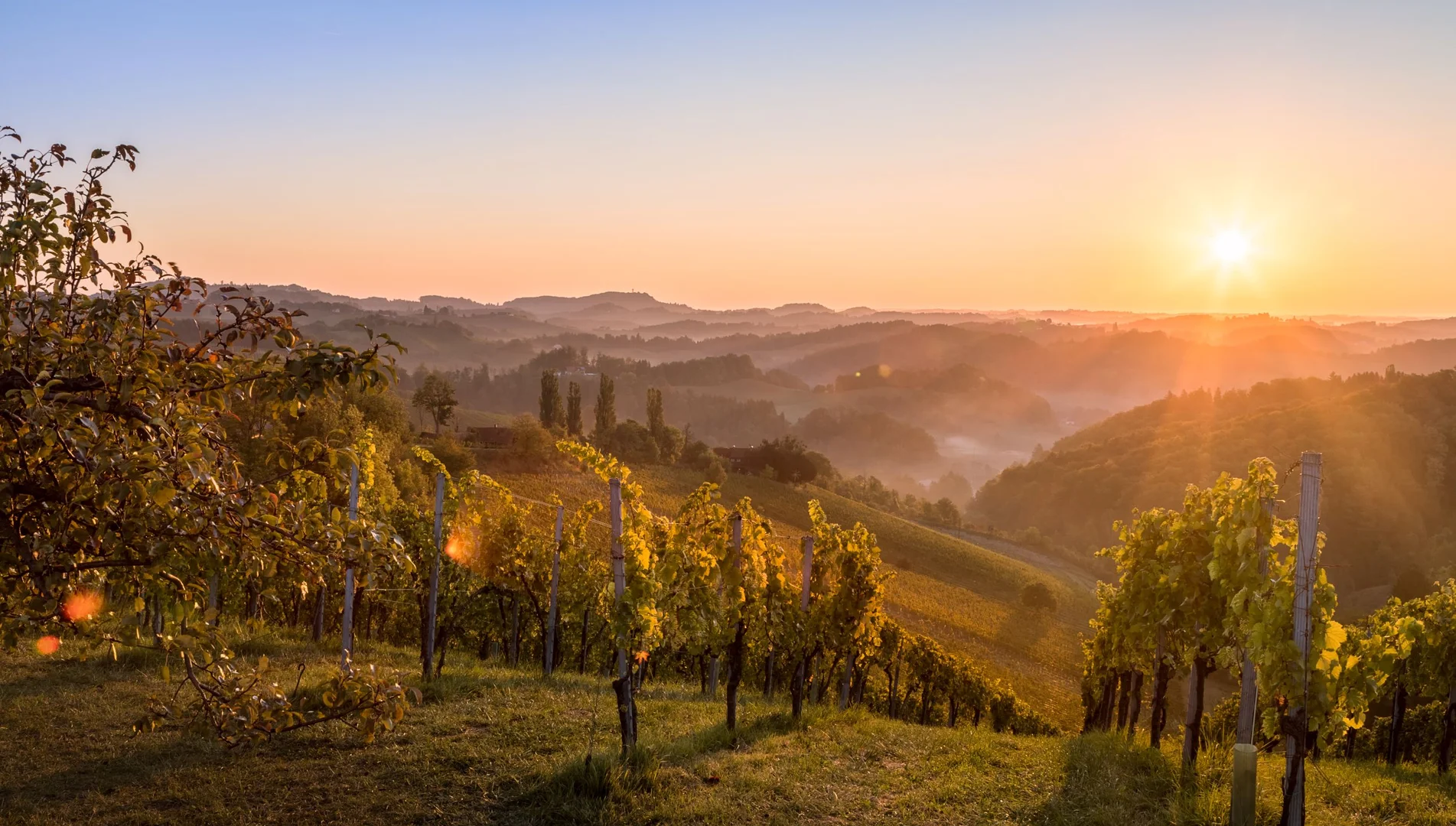 Wo der Herbst zu Hause ist | © TVB Südsteiermark |  Wolfang Jauk