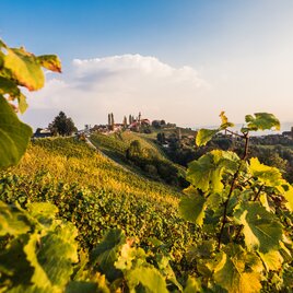 Wunderbarer Ausblick auf das Ortszentrum der Gemeinde Kitzeck