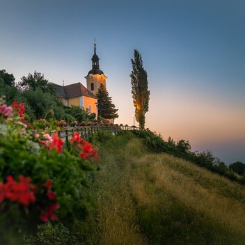 Blick auf Kitzeck  | © Südsteiermark | Wolfgang Jauk