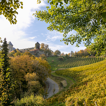 Blick auf die Burg Deutschlandsberg im Herbst | © TVB Südsteiermark |  Lupi Spuma