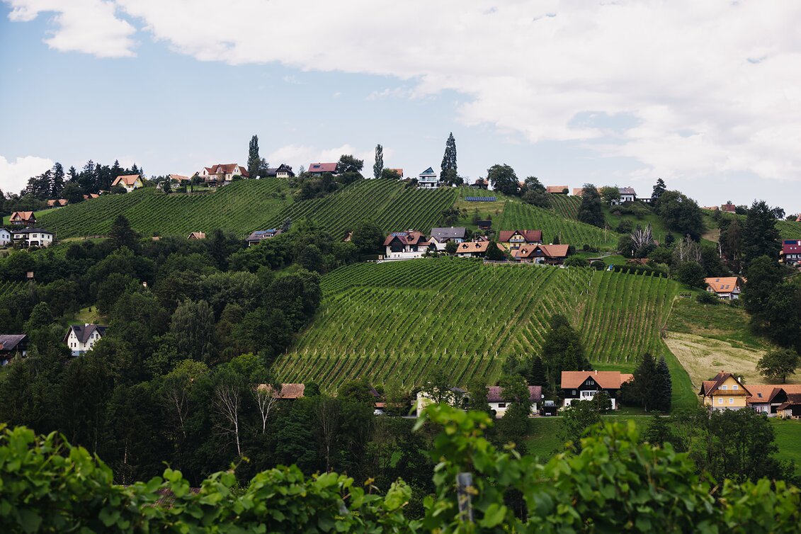 Schilcherweinstraße | © Südsteiermark | Achromatic Photography