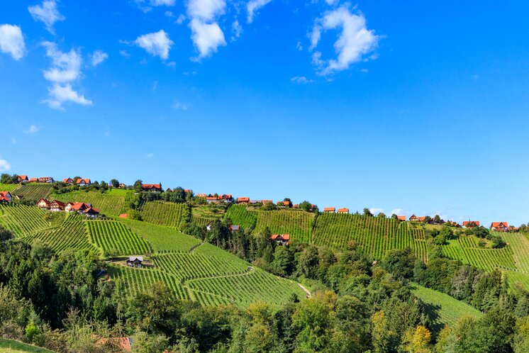 © Schilcherland Steiermark | Foto Augenblick - Barbara Zapfl