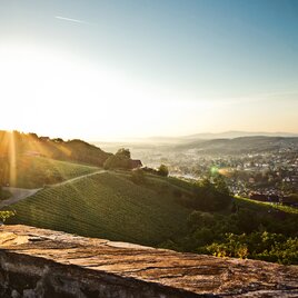 Blick von der Burg Deutschlandsberg auf die Stadt und die umliegenden Weingärten