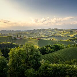 Panoramablick über die sanften Weinberge der Südsteiermark im warmen Abendlicht. Sonnenstrahlen fallen durch die Wolken und tauchen die hügelige Landschaft in goldenes Licht.