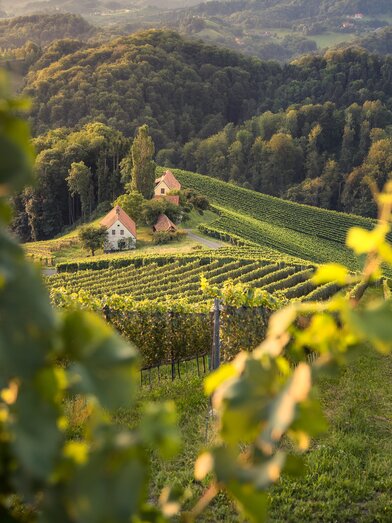 Über Pößnitz | © Südsteiermark Tourismus | Wolfgang Jauk