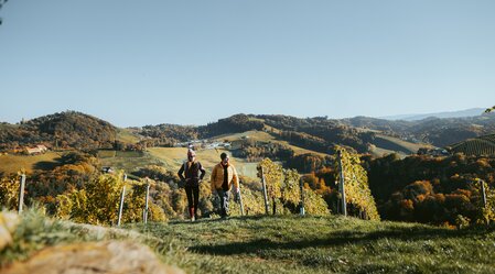 Herbstliche Wanderung in der Südsteiermark | © TV Südsteiermark | Ulrike Elsneg