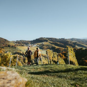 Herbstliche Wanderung in der Südsteiermark | © TV Südsteiermark | /Press/MediaCopyright-autocreated/Lukas Elsneg-autocreated-1651586692-166789