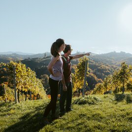 Wanderpärchen steht vor einem Weingarten und blickt in die Ferne