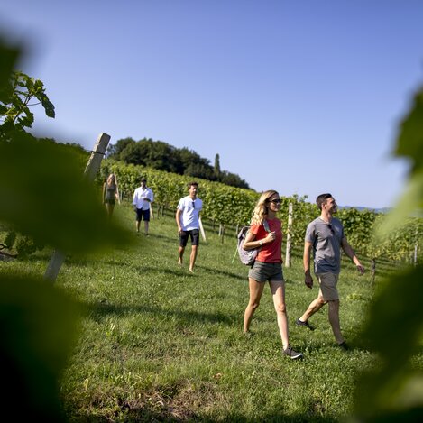 Genusswandern | © Südsteiermark | Tom Lamm