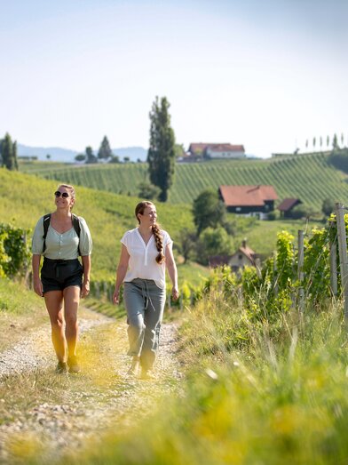 Wandern in der Südsteiermark | © Südsteiermark | Tom Lamm