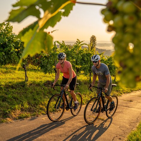 Gravel-Biken in der Südsteiermark | © TV Südsteiermark | Löffler, Thomas Druml
