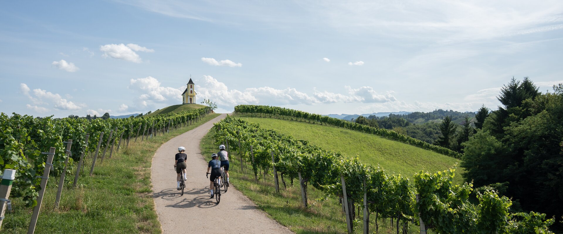 Rennradfahren in der Südsteiermark | © TV Suedsteiermark | Lukas Elsneg 