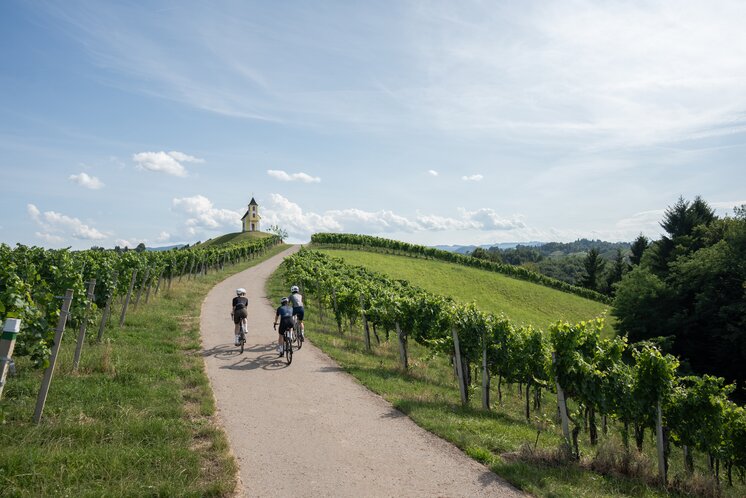 Rennradfahren in der Südsteiermark | © TV Suedsteiermark | Lukas Elsneg 