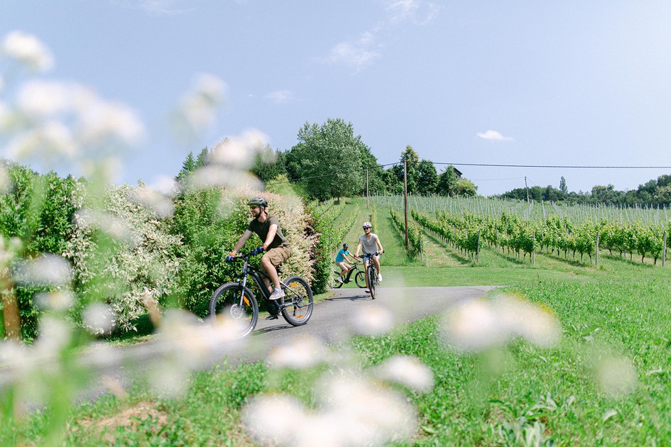 Rent an eBike Südsteiermark | © Ruhri KG | A Twist of Lemon www.atwistoflemon.at
