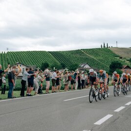 Tour of Austria entlang der Weinstraßen