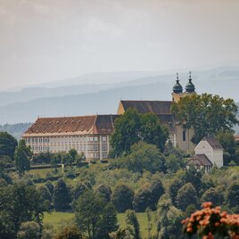 Blick auf das Schloss Stainz