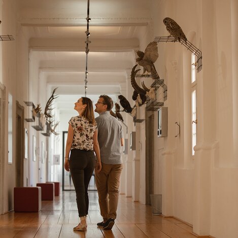 Jagd- und Landwirtschaftsmuseum Schloss Stainz | © Südsteiermark | Achromatic Photograhy