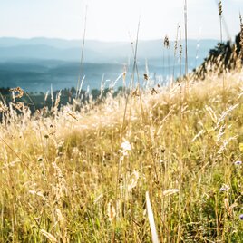 Demmerkogel