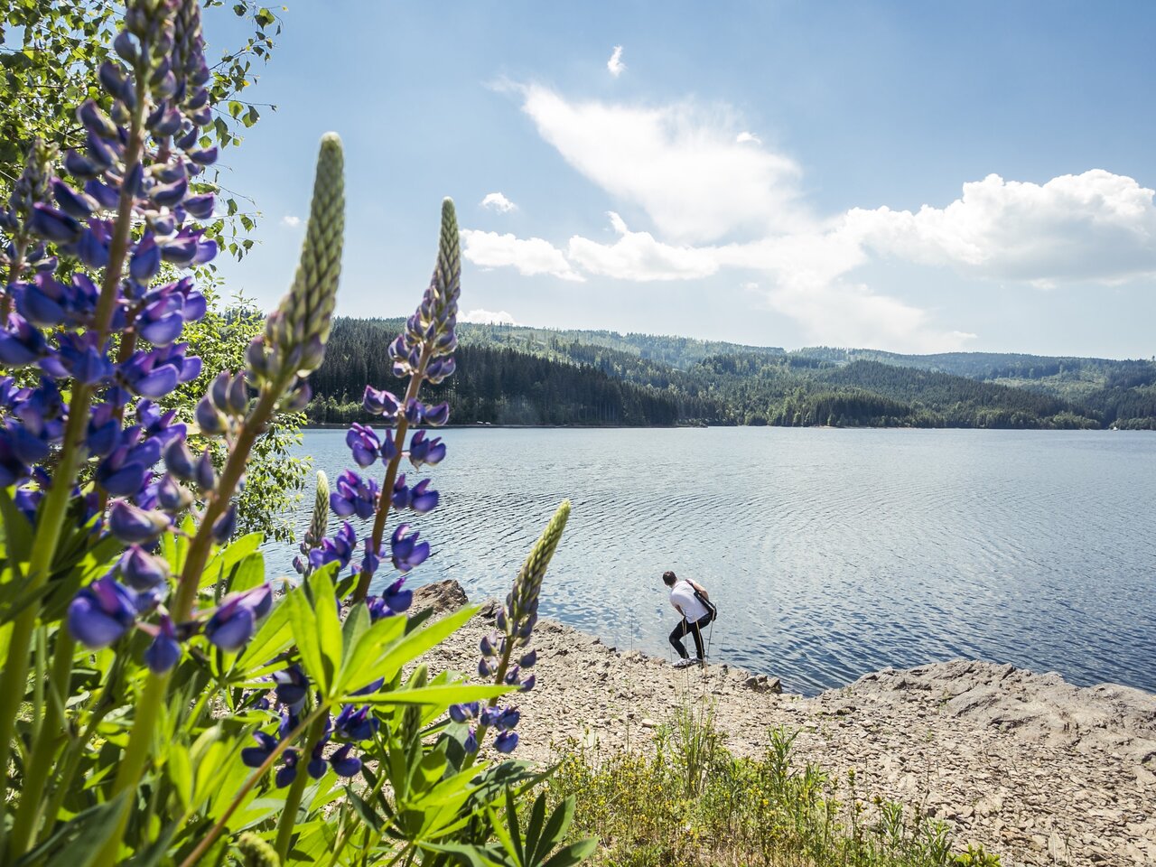 Eine Person schnippst Steine in den Soboth Stausee 