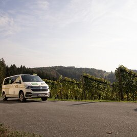 Weinmobil Südsteiermark unterwegs in den Weinbergen