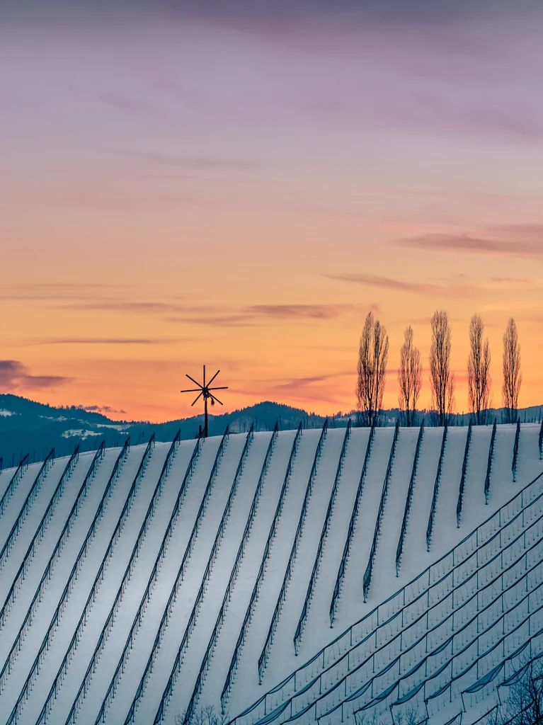 Winterruhe in der Südsteiermark  | © Südsteiermark | Wolfgang Jauk