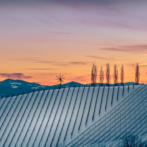 Winterruhe in der Südsteiermark  | © Südsteiermark | Wolfgang Jauk