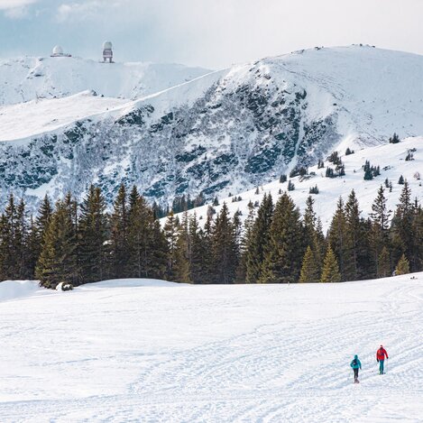 Schneeschuhwandern auf der Koralm | © Südsteiermark | Lupi Spuma