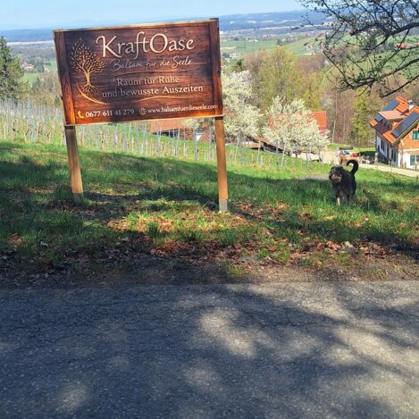 KraftOase mit Weitblick über die Weinberge | © TV Suedsteiermark | Beate Trampusch