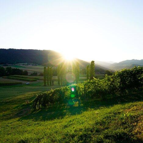 Sonnenuntergang am Wildbachberg | © Servus TV | Lena Moik